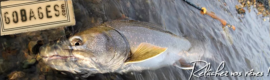Gobages, pêche à la mouche - accueil