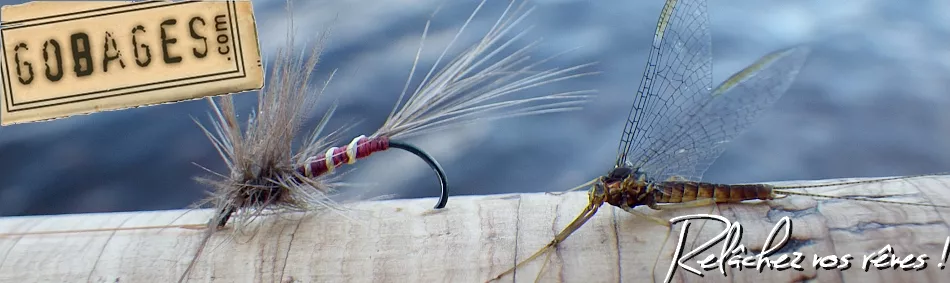 Gobages, pêche à la mouche - accueil