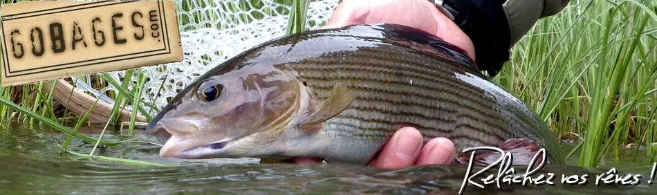 Gobages, pêche à la mouche - accueil