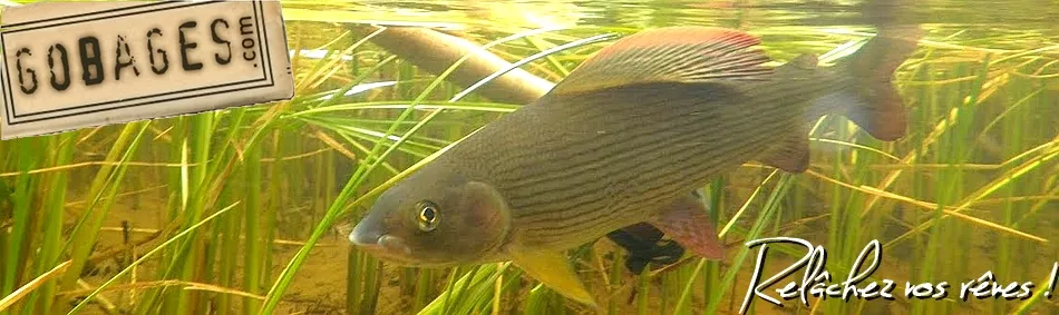 Gobages, pêche à la mouche - accueil