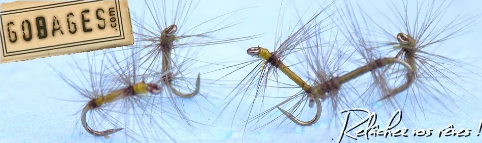 Gobages, pêche à la mouche - accueil
