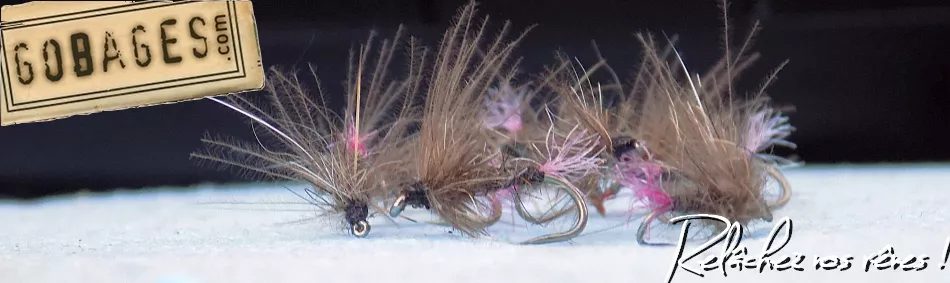 Gobages, pêche à la mouche - accueil