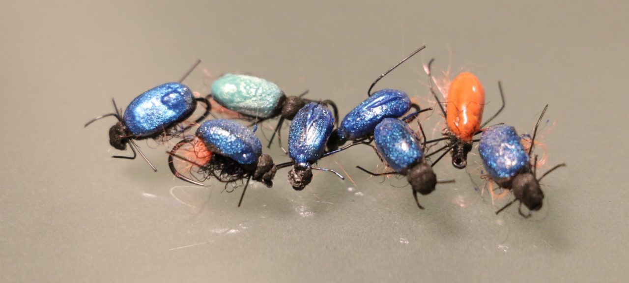 les petits scarabées de JB 45 