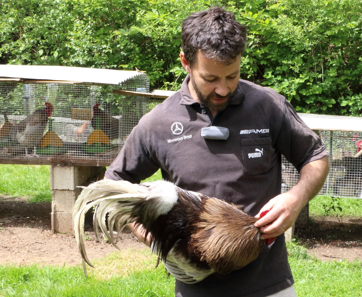 coq4