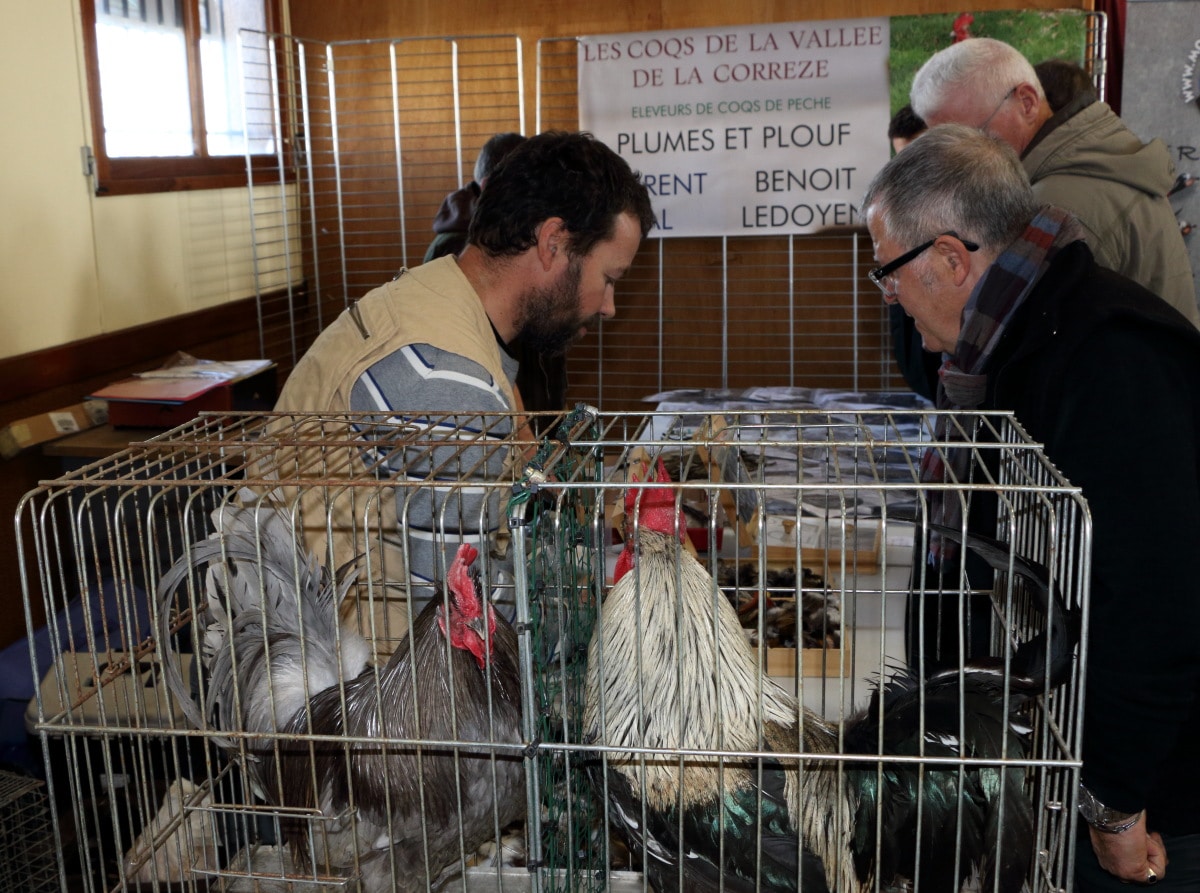 coq9