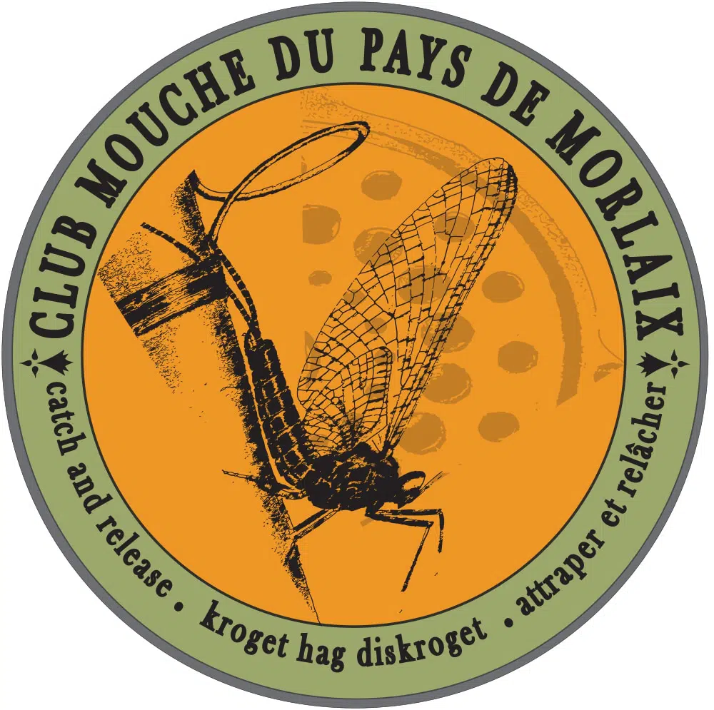 logo mouche breton
